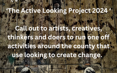 The Active Looking Project call out 2024